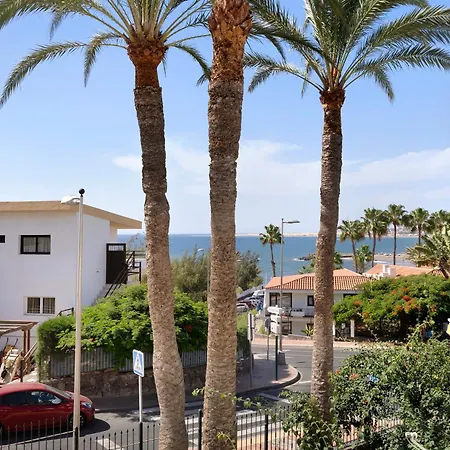 Flores1 * San Bartolome de Tirajana (Gran Canaria)